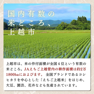 【えちご上越米】令和7年産 新潟県上越産 コシヒカリ 10kg×3回 30kg 定期便 精米 こしひかり JAえちご上越