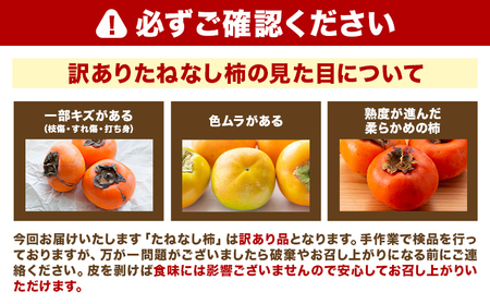柿 訳ありたねなし柿 約4kg