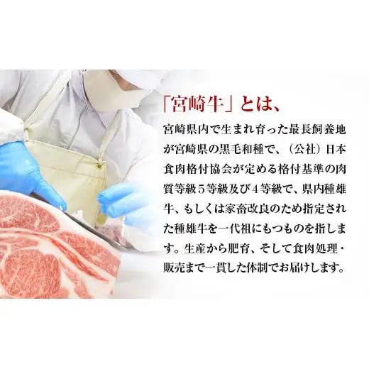 【お中元ギフト】【畜産農家応援】宮崎牛 赤身＆肩ロース 食べ比べ焼肉セット１kg  （500g ×2）4等級以上 ミヤチク 内閣総理大臣賞4連覇 ＜47-10b＞牛肉 赤身 焼肉