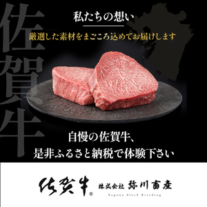 佐賀牛 極上！12回定期便 佐賀牛 ブランド牛 国産牛 牛肉 肉 定期便 佐賀県 太良町 ZAP1