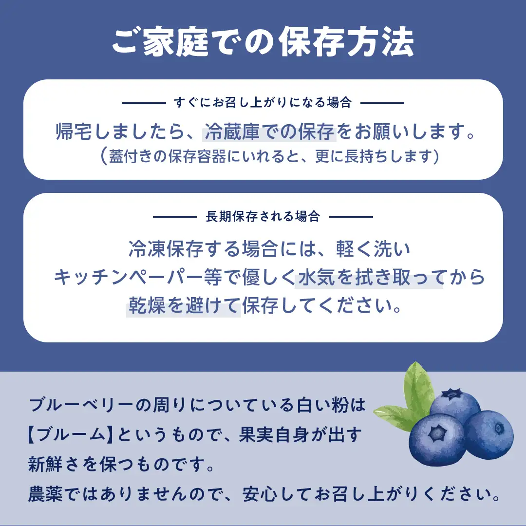 ブルーベリー狩り 体験チケット 《シニア２名様プラン お土産付き》 ブルーベリー ベリー 食べ比べ 食べ放題 収穫 収穫体験 体験 チケット 招待券 レジャー 観光 旅行 シニア ふれあい お土産 おみやげ 持ち帰り テイクアウト 多品種 果実 果物 くだもの フルーツ 自然体験 農業体験 茨城県 桜川市 [DZ011sa]