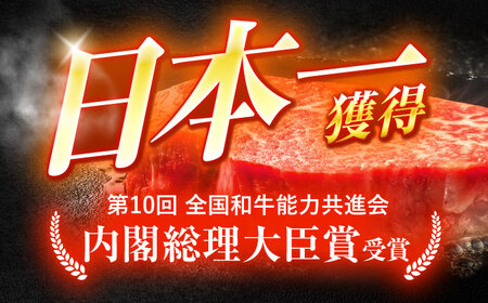 【6回定期便】A5ランク長崎和牛食べ比べ[OCH029]