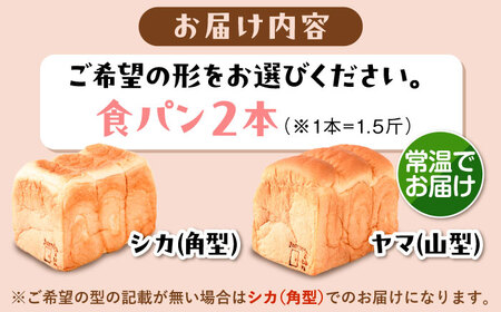 【常温】 トーストが美味しい！無添加食パン 2本 (形が選べる)  糸島市 / 糸島食ぱんや [AAP014]