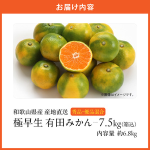 MK1071_【2026年先行予約】みかん 極早生 箱込 7.5kg ( 内容量6.8kg ) おまかせサイズ（S/M/L）秀品・優品 の混合 有田みかん 和歌山県産
