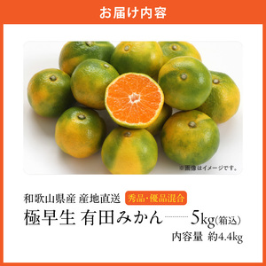 MK1072_【2026年先行予約】みかん 極早生 箱込 5kg ( 内容量4.4kg ) おまかせサイズ（S/M/L）秀品・優品 の混合 有田みかん 和歌山県産