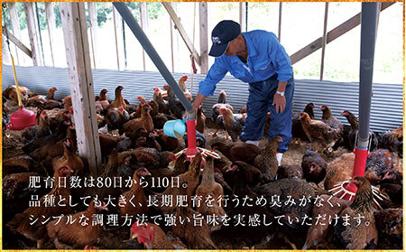 鹿野地鶏モモ・ムネセット_T2600379