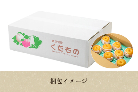 【2025年先行予約】新潟県加茂市産 和梨 豊水3kg（5～9玉）〈9月上旬～順次出荷〉ほうすい