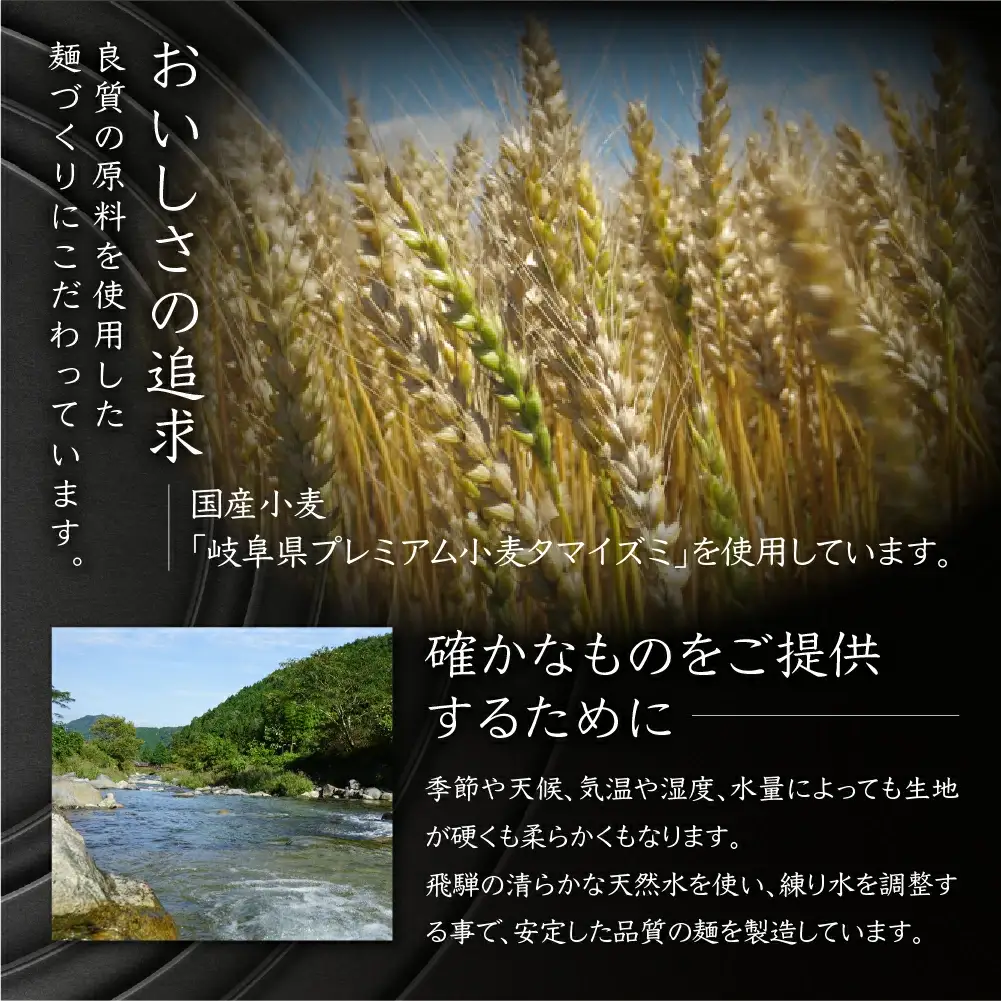 【定期便 6回】訳あり（簡易包装）麺づくしセット（飛騨高山らーめん３味セット 12食・生うどん 10食セット・田舎そば 10食セット）【29-D】