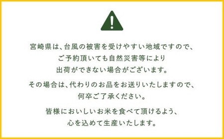 ＜令和7年産 宮崎県産コシヒカリ （無洗米） 5kg×5袋 計25kg チャック付き米袋＞お申込みの翌月末までに順次出荷 【c1449_ku_x1】 こしひかり コシヒカリ お米 米 コメ 国産