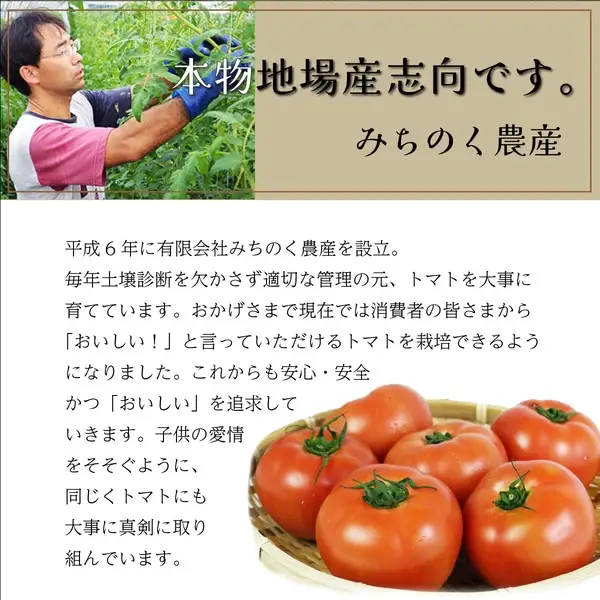 アイラブ七戸トマトジュースF【1000ml×3本】【トマト農家 無添加 100% りんか409 果汁 ストレート びん】【02402-0353】