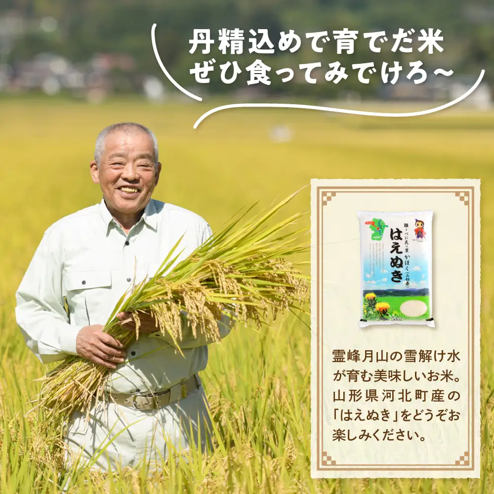 米 はえぬき 5kg 令和7年産 8月上旬発送 山形県産 米 はえぬき