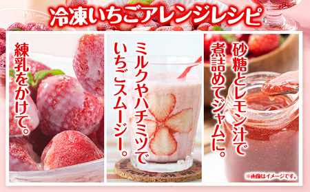冷凍いちご 約1kg みやざき農園 熊本県 氷川町 いちご イチゴ ひのしずく 国産 冷凍いちご フルーツ ストロベリー 冷凍 お菓子作り 送料無料