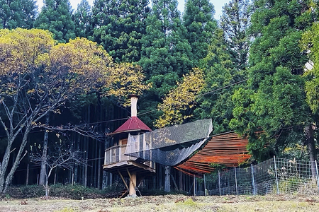 ツリーハウスのある一棟貸別荘 HoToLo /// 奈良県 曽爾村 一棟貸し 貸別荘 宿泊 旅行 貸切 1日1組限定 ツリーハウス