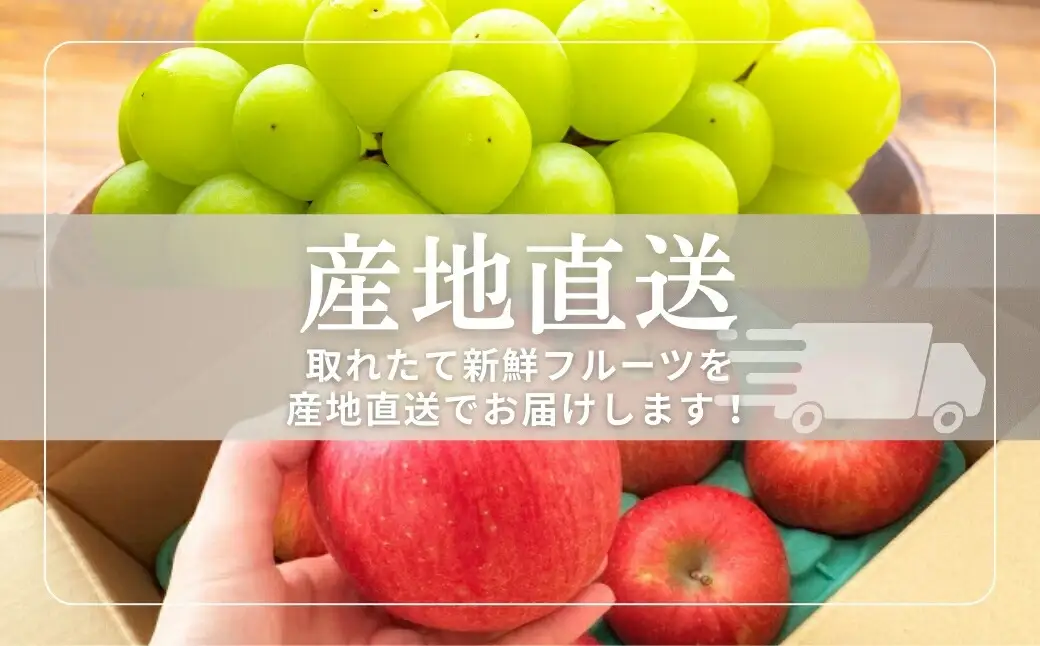 【2026年先行予約】 シャインマスカット 約500g・りんご3種詰め合わせ 計約2kg（5~8玉）セット ぶどう 葡萄 マスカット 林檎 詰合せ| シャインマスカット