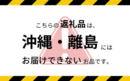 【2026年先行予約】夏のりんご サンつがる 約3㎏ ｜ りんご