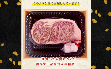 黒毛和牛 サーロインステーキ 400g（200g×2袋） / 黒毛和牛