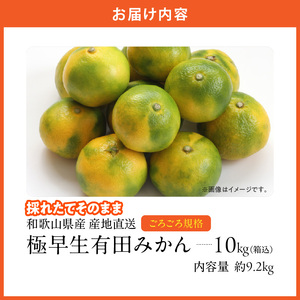 MK1078_【2026年先行予約】みかん 極早生 山から直送 箱込 10kg ( 内容量 9.2kg ) 採れたてそのままごろごろ規格 有田みかん 和歌山県産