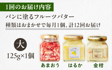 【全12回定期便】お楽しみ定期便 フルーツバター大1個 糸島市/糸島正キ ジャム クリーム 果物 [AQA064]