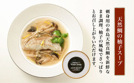 【全3回定期便】SoupSelect 2点セット 糸島市 / 糸島正キ スープ レトルト [AQA071]