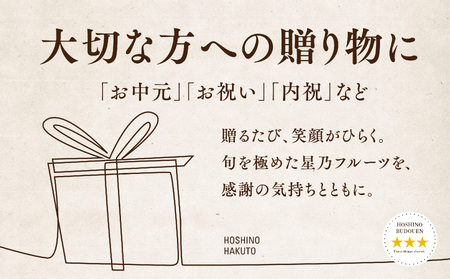 【発送月固定定期便】【人気セット】星乃フルーツ 桃+シャインマスカット全2回【配送不可地域：離島・北海道・沖縄県】【4067234】