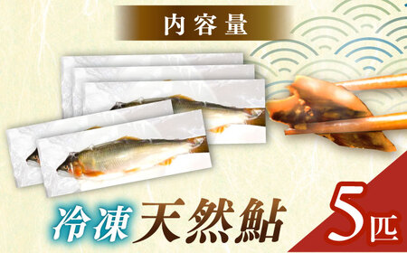天然あゆ 18-20cm 5匹 / 恵那市 / 恵那物産館 [AUFS009]