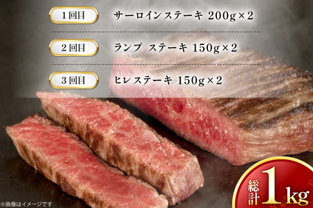 牛肉 和牛 定期便 長崎和牛 ステーキ 食べ比べ 3回 ヒレ ランプ サーロイン 総計1.0kg [黒牛 長崎県 東彼杵町 hs42bag750004]