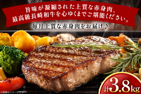 牛肉 長崎和牛 赤身 モモ焼肉 モモスライス ランプステーキ ヒレステーキ もも切り落とし 約2人前 12回 総計3.8kg [黒牛 長崎県 東彼杵町 hs42bag750018]