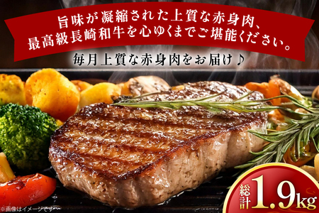 牛肉 長崎和牛 赤身 モモ焼肉 モモスライス ランプステーキ ヒレステーキ もも切り落とし 約2人前 6回 総計1.9kg [黒牛 長崎県 東彼杵町 hs42bag750019]