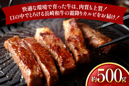 牛肉 和牛 長崎和牛 焼肉用 カルビ 約500g [黒牛 長崎県 東彼杵町 hs42bag750087]