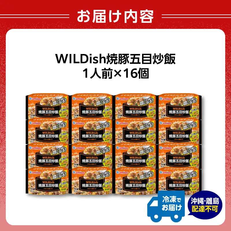 Umios 冷凍食品 WILDish 焼豚五目炒飯 １人前×16個入り 045-007