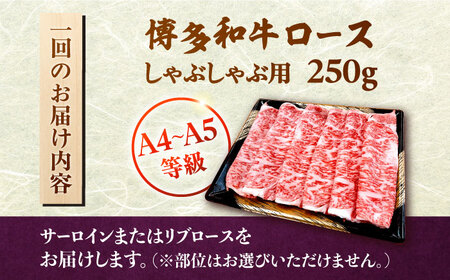 【全12回定期便】【数量限定 博多和牛】ロース しゃぶしゃぶ用 250g 桂川町/株式会社チクゼンヤ [ADBZ044] 牛肉 赤身 国産 定期便