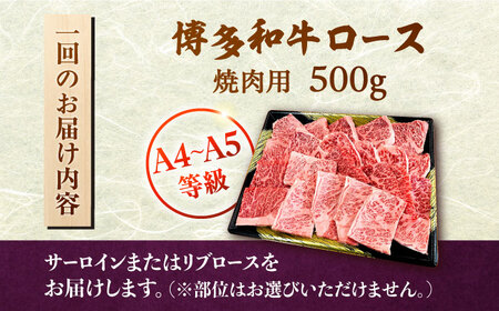 【全3回定期便】【数量限定 博多和牛】ロース 焼肉用 500g 桂川町/株式会社チクゼンヤ [ADBZ046] 焼肉 焼肉用 牛肉 国産 定期便