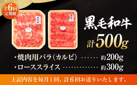 6回定期くまもと黒毛和牛「藤彩牛」2種の食べ比べ計500g 和牛 BHAD037