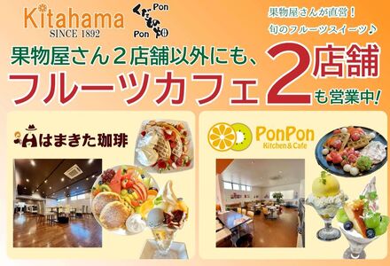 【2026年11月中旬～】【家庭用】小原紅早生 約3kg みかん みかん