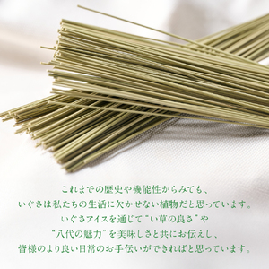 たたみアイス 12個入 いぐさ 畳 スイーツ いぐさミルク味 玄米味 食用いぐさ 和風アイス デザート おやつ ジャージー牛乳使用