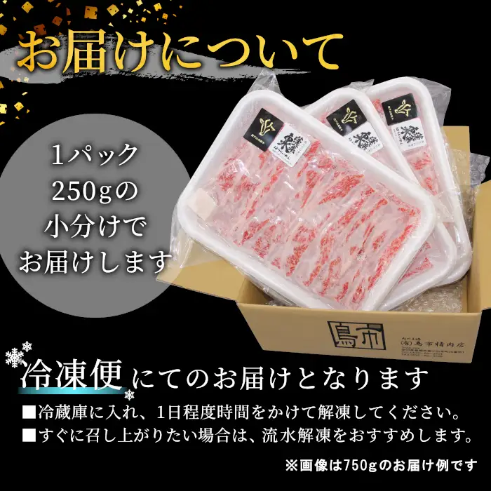 赤身がおいしい 段戸山高原牛 ロース肉スライス （すき焼き・しゃぶ葉） 750g （250g×3） ロース スライス 国産牛 牛肉 鉄板焼肉 -078
