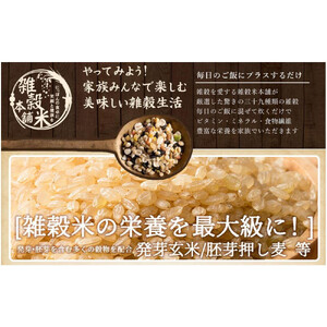 明日への輝き39 穀米ブレンド 8kg(400g×20袋)