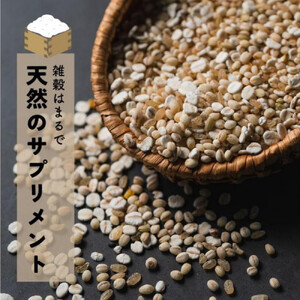 健康重視ヘルシーブレンド 2.4kg(400g×6袋)