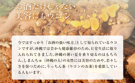 【3袋】沖縄県産琉球発酵ウコン 1袋(1粒重量250mg 3粒×31包) 沖縄県産の3種類のウコン | 飲みやすい タブレット 無農薬 農薬・化学肥料 不使用 自然由来 | 株式会社 しまのや | サプリ サプリメント 健康食品 | 送料無料