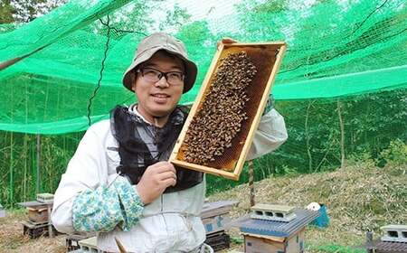 【定期便 3回】純国産 アカシアはちみつ 260g｜非加熱 純粋 天然 蜂蜜 単花蜜 アカシヤ ハチミツ ギフト｜千葉県 君津市