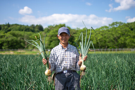 予約受付 たまねぎ 10kg さらき産【2026年7月発送開始】 岩手県 北上市 C0447 令和8年産 国産 玉ねぎ 玉葱 カレー シチュー 新鮮 フレッシュ オニオン サラダ BBQ 焼肉 野菜 Mサイズ Lサイズ 2Lサイズ 株式会社さらき