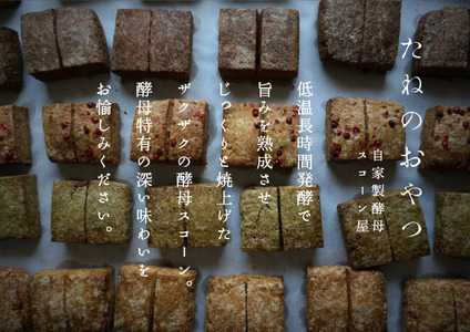 プラリネバターサンドと自家製酵母スコーン【たねのおやつ】_HA1674