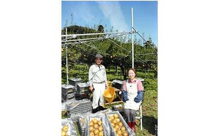 青森りんご ぐんま名月・サンふじ 月と太陽のりんご詰め合わせ 約5kg 【泉山果樹園】 2種セット F21U-065