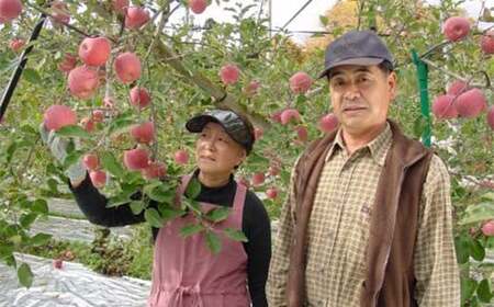 【訳あり】青森県南部町産りんご 家庭用サンふじ 約5kg【泉山果樹園】 F21U-402