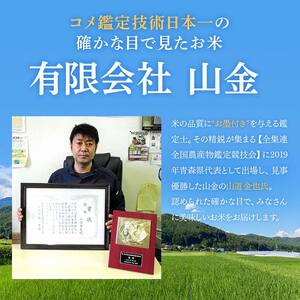 【コメ鑑定技術日本一の山金】 青森県南部町産 まっしぐら・はれわたり 食べ比べセット 各5kg（令和7年産） 白米 精米 F21U-349