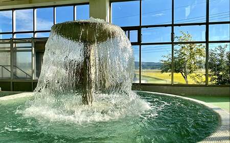 バーデパーク　バーデハウスふくち(屋内外プール、天然温泉) １日利用券（大人１枚）  イベント チケット F21U-205