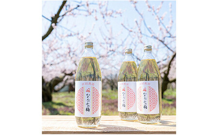 青森県 南部町の梅ジュース 「なんぶの梅」 (1000ml×3本) 【NPO法人 青森なんぶの達者村】 F21U-031