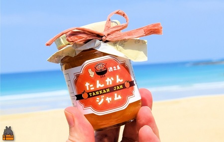 徳之島産完熟たんかん使用！低糖度の徳之島たんかんジャム（100g） （ たんかん タンカン 完熟 ジャム パン 朝ごはん 果物 フルーツ 柑橘 徳之島 奄美 鹿児島 美味しい キッチンこころ ）
