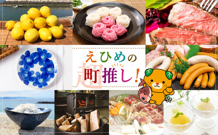 ちりめん佃煮6点セット （6種類 計540g） ちりめん しらす シラス 魚 魚介類 魚介 海鮮 佃煮 セット 愛媛県 常温【えひめの町（超）推し！（伊方町）】（842）