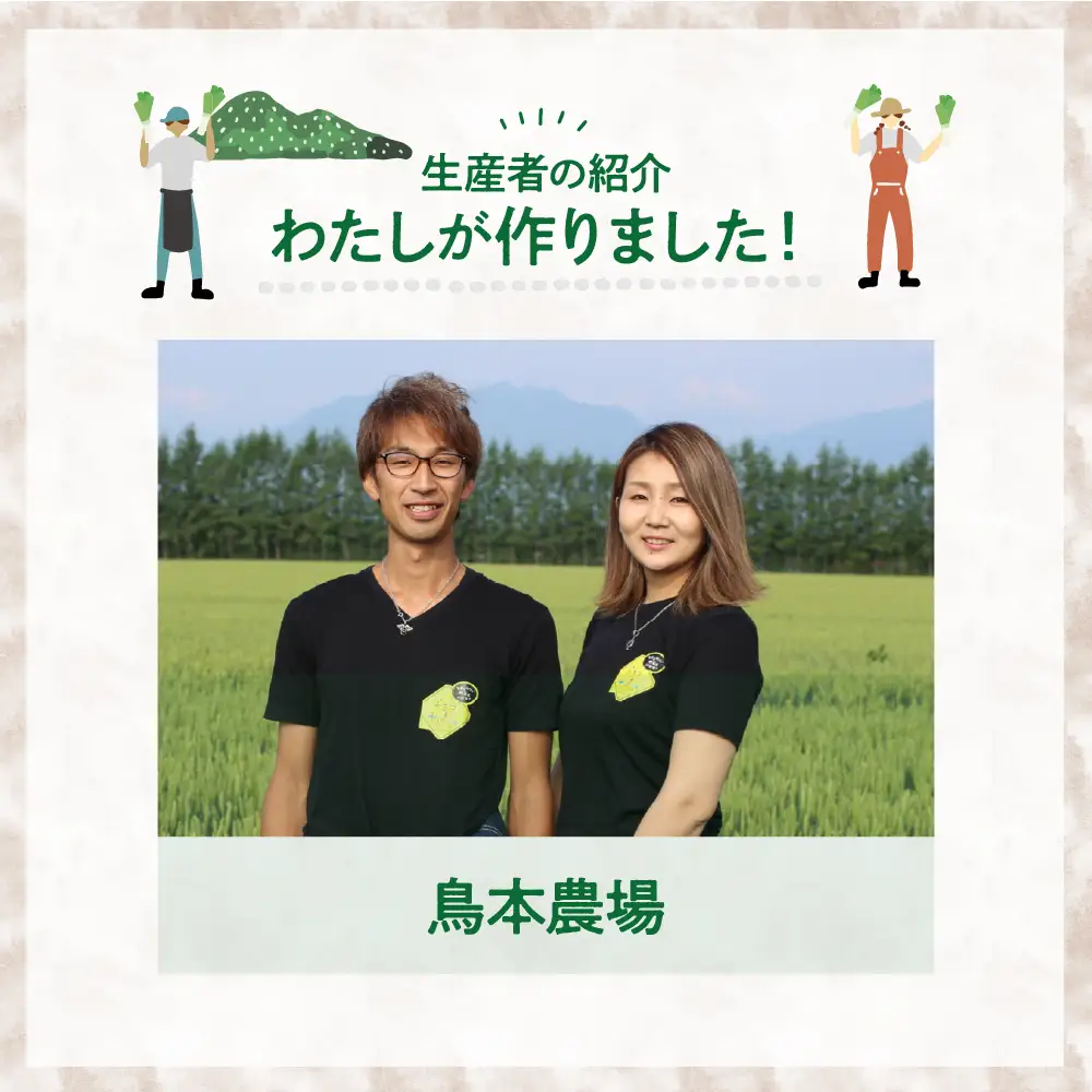 【先行受付】【2026年11月より発送】北海道十勝芽室町　なまら十勝野の鳥本農場リーキ 6本 ネギ 西洋ネギ ねぎ 甘い ステーキme001-046c
